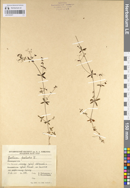 LE 01101577