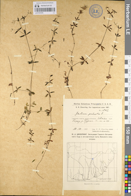 LE 01101579