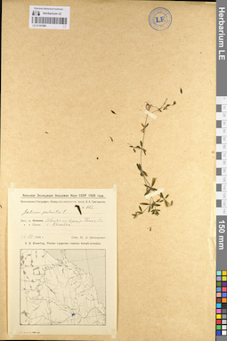 LE 01101580