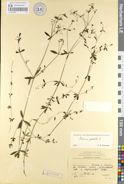 LE 01101583