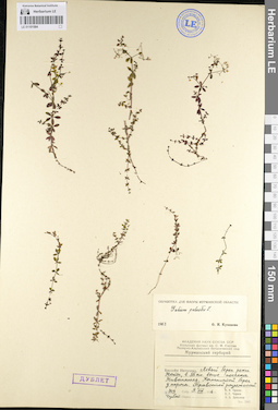 LE 01101584