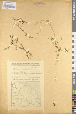 LE 01101586