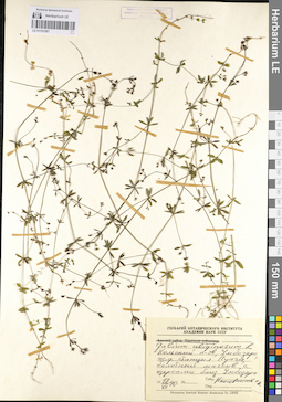 LE 01101587