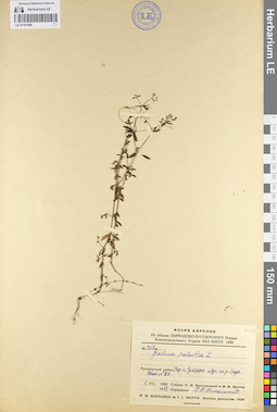 LE 01101589