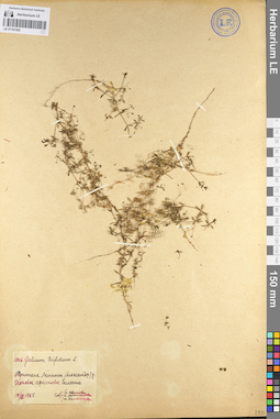 LE 01101593