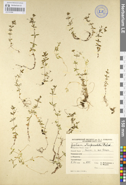 LE 01101594