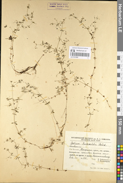 LE 01101595