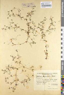 LE 01101597