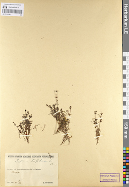 LE 01101598