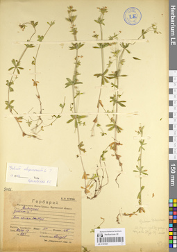 LE 01101601