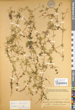 LE 01101602