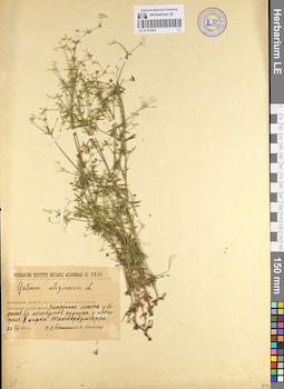 LE 01101603