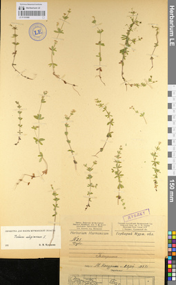 LE 01101608