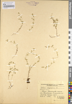 LE 01101611