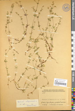 LE 01101618