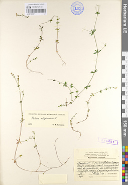 LE 01101637