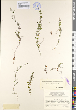 LE 01101648