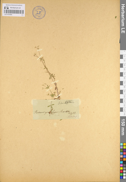 LE 01101654