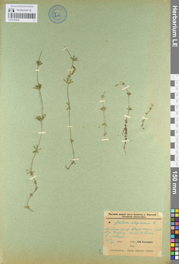 LE 01101670