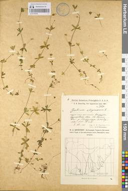 LE 01101676