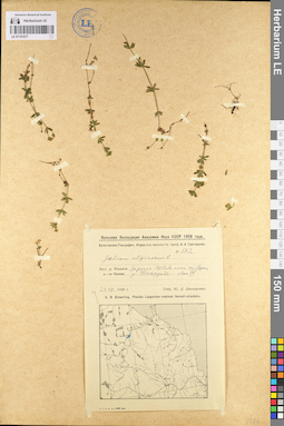 LE 01101677