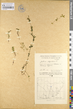 LE 01101678