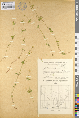 LE 01101679