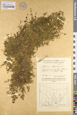 LE 01101680