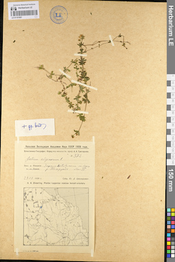LE 01101681