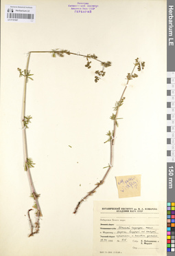 LE 01101697