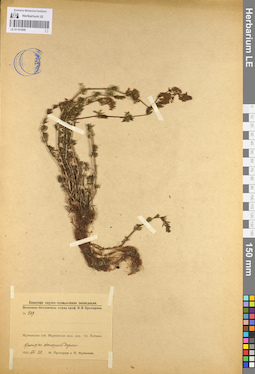 LE 01101699