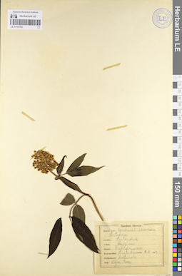 LE 01101702