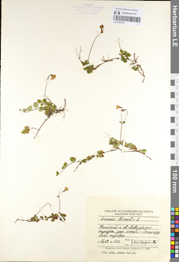LE 01101712