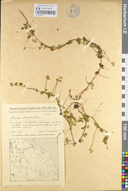 LE 01101715