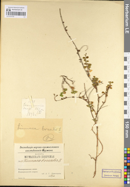 LE 01101723