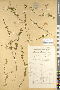 LE 01101724