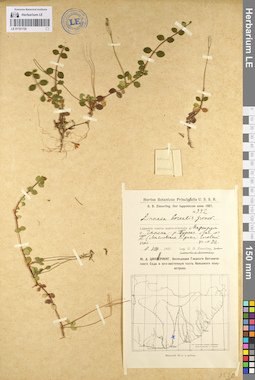 LE 01101725