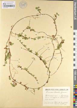 LE 01101726