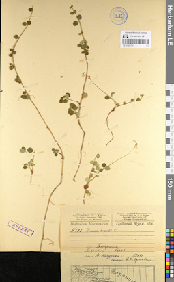 LE 01101731
