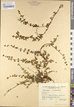 LE 01101740
