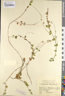 LE 01101744