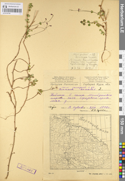 LE 01101745