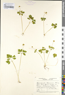 LE 01101757