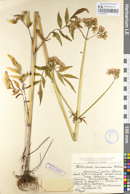 LE 01101766