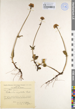 LE 01101768