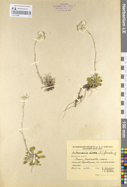 LE 01102485
