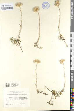 LE 01102486