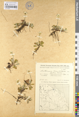 LE 01102547