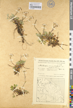LE 01102548