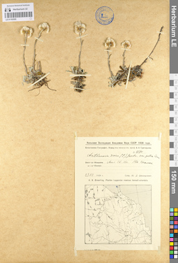 LE 01102555